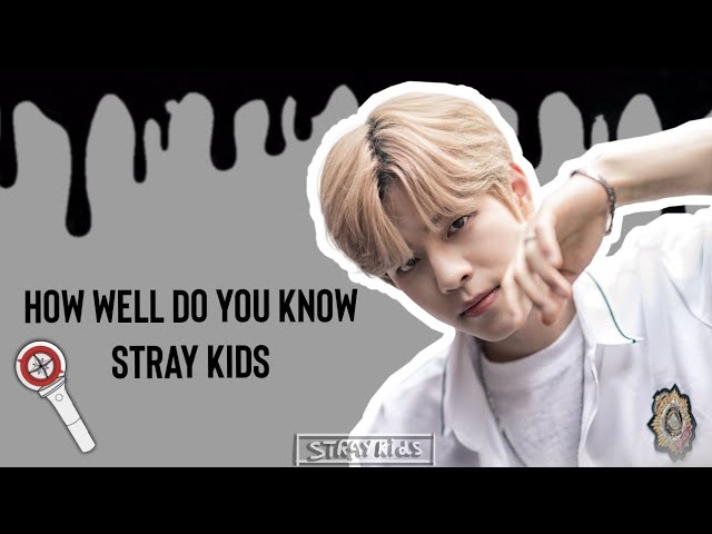 how well do you know stray kids